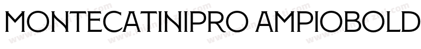 MontecatiniPro AmpioBold字体转换